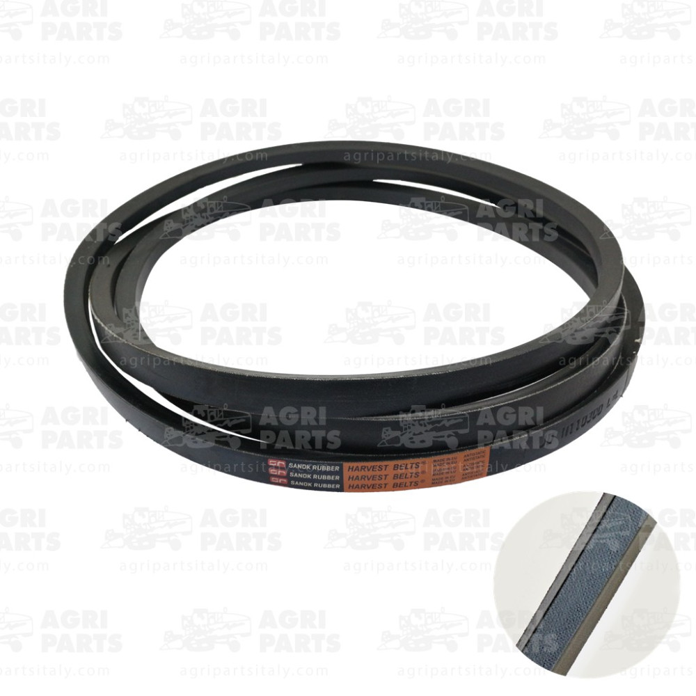 340433458 - CINGHIA - LA340433458AG