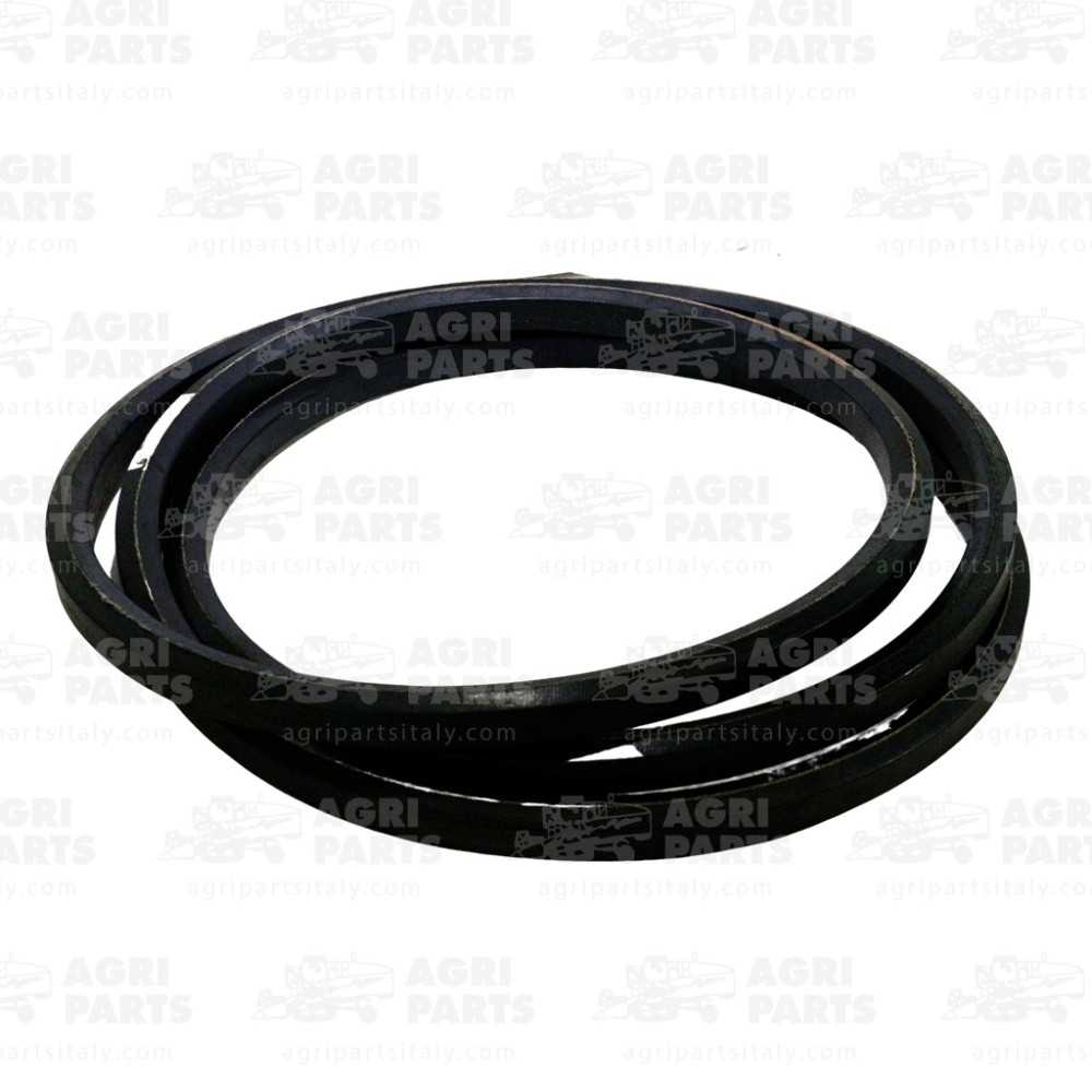 340433984 - SECHSECKIGER RIEMEN - LA340433984AG