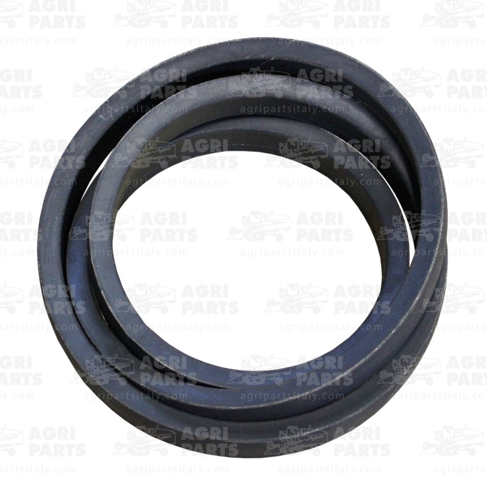 340435127 - CINGHIA - LA340435127AG