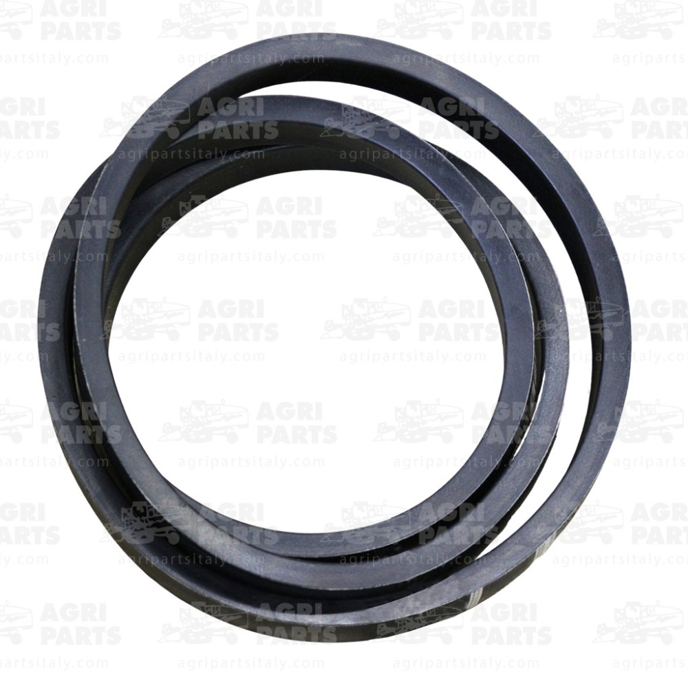 340435131 - CINGHIA - LA340435131AG