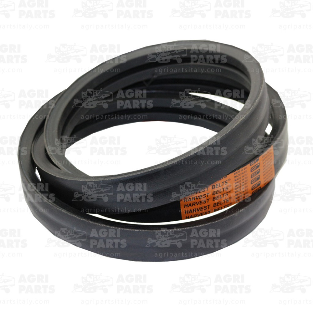 6297691 - RIEMEN (2HB) - 0006297691CL