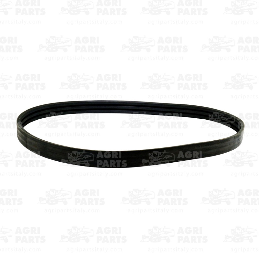 344311228 - RIEMEN - LA344311228AG