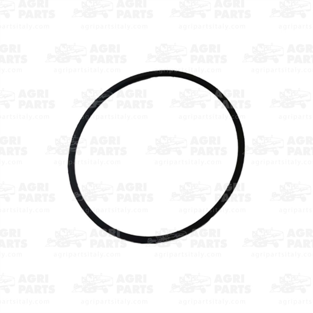 340433132 - CINGHIA - LA340433132AG