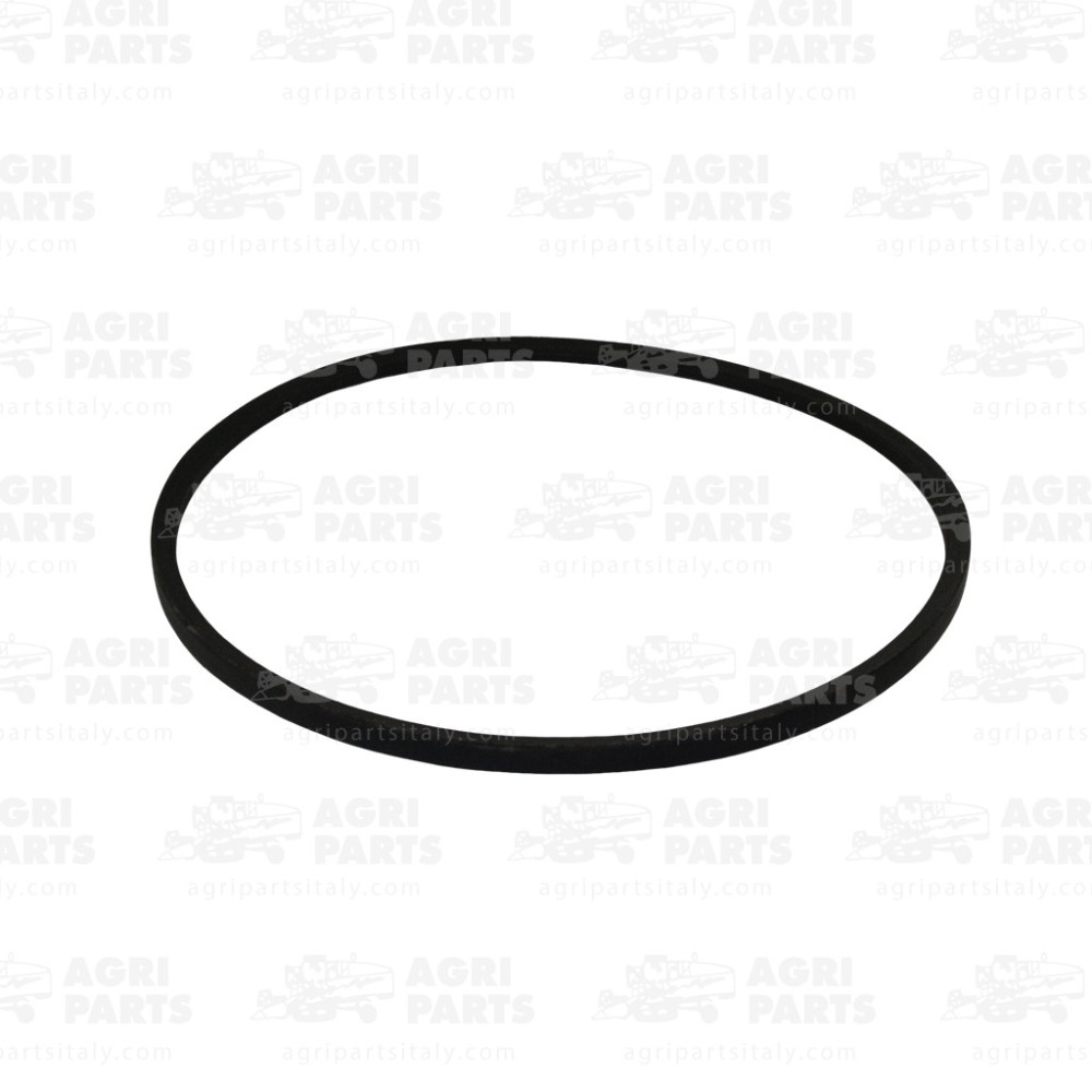 340433238 - CINGHIA - LA340433238AG