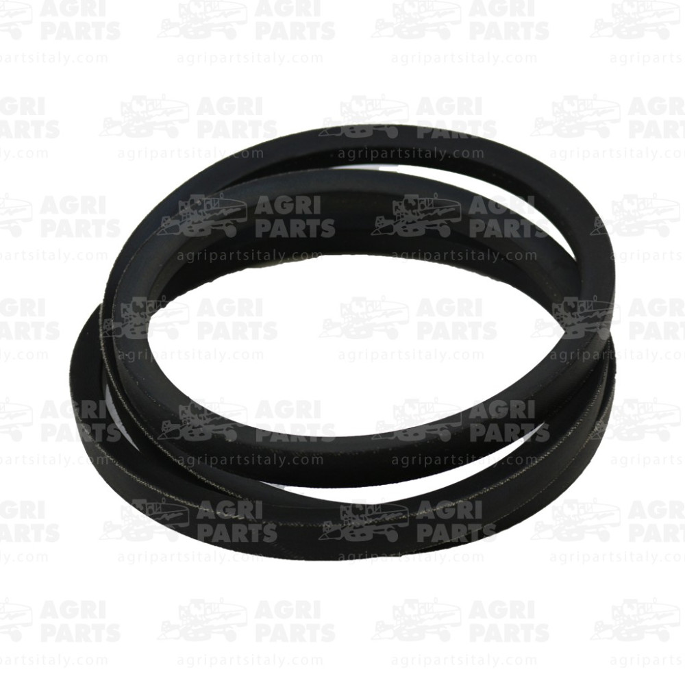 340433262 - RIEMEN - LA340433262AG