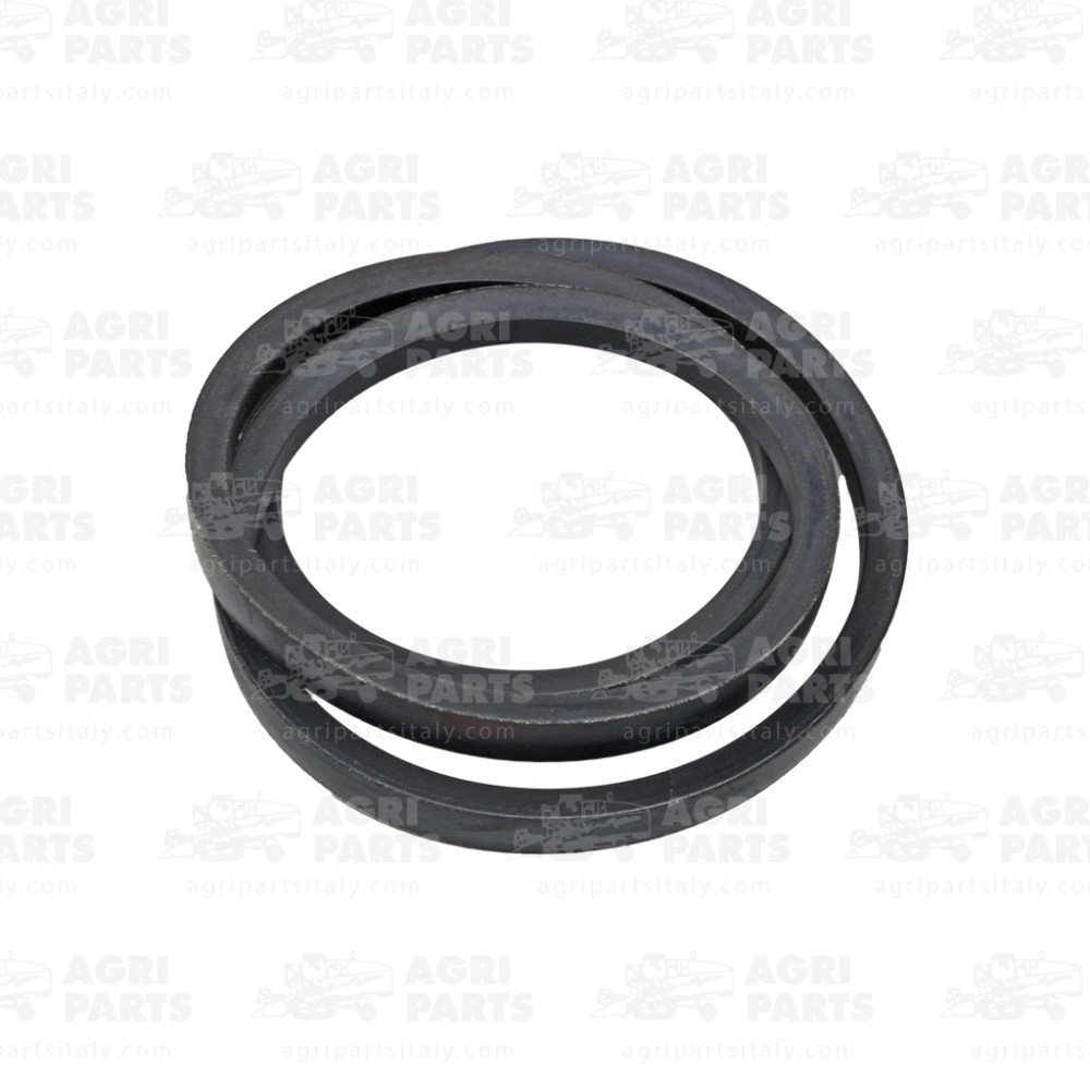 615162 - CINGHIA - 0615162SA