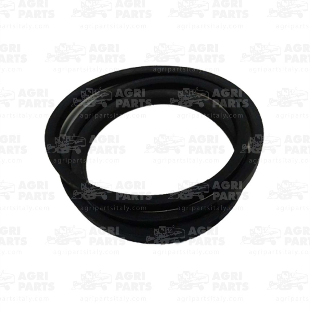 340433421 - CINGHIA - LA340433421AG