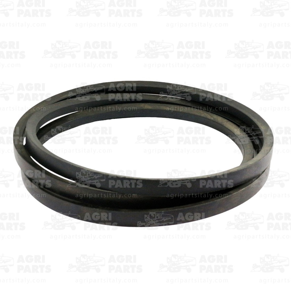 N110085 - RIEMEN - N110085JD