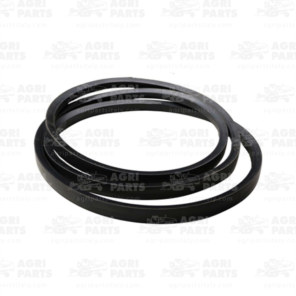 340433539 - RIEMEN - LA340433539AG