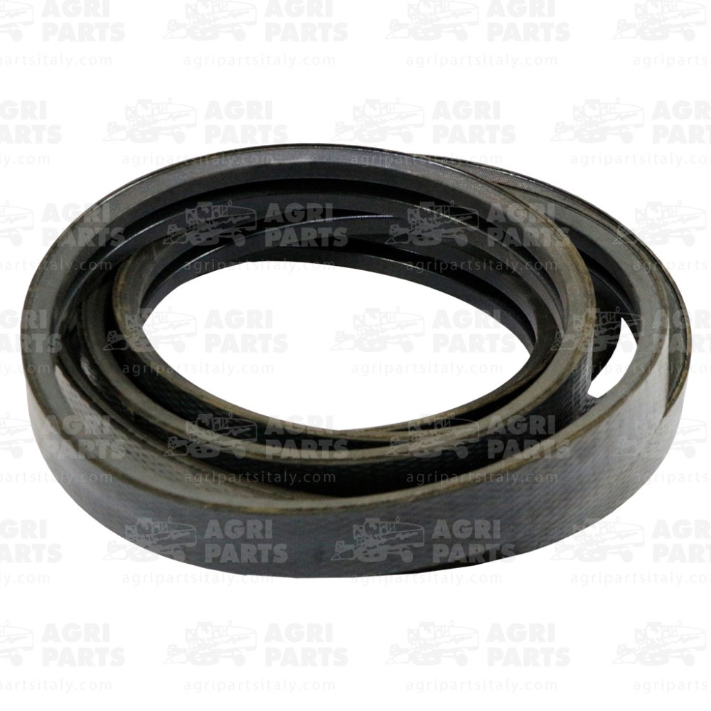 344311134 - RIEMEN - LA344311134AG