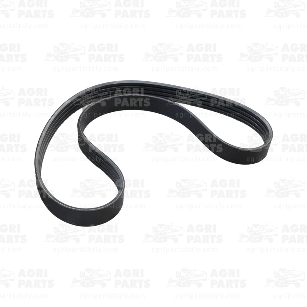 344311315 - CORREA - LA344311315AG