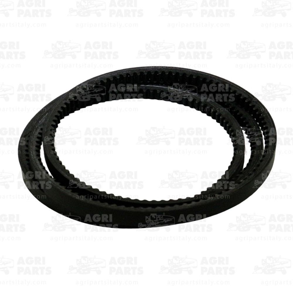 393519 - RIEMEN - 393519CNH