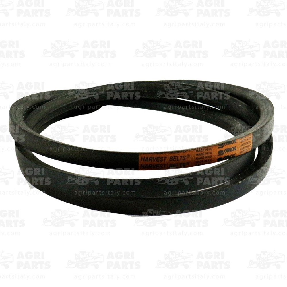 427455 - RIEMEN - 427455CNH