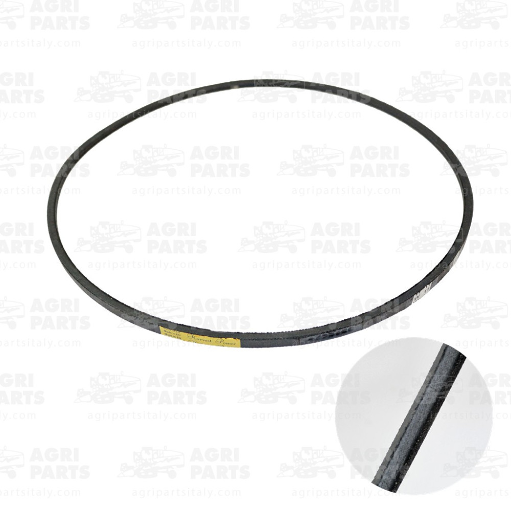 4796327 - CINGHIA - LA4796327AG