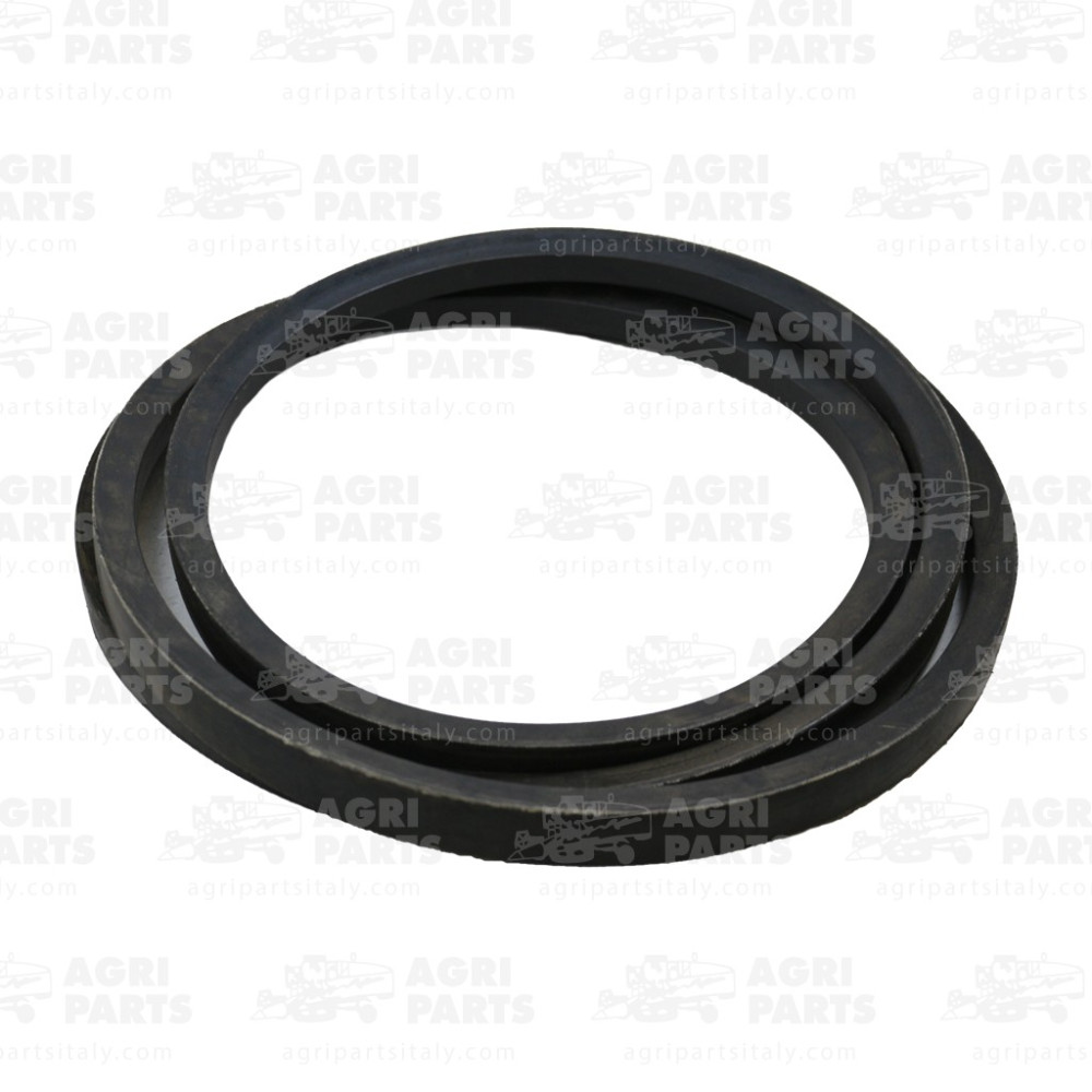 616355 - CINGHIA - 616355CNH