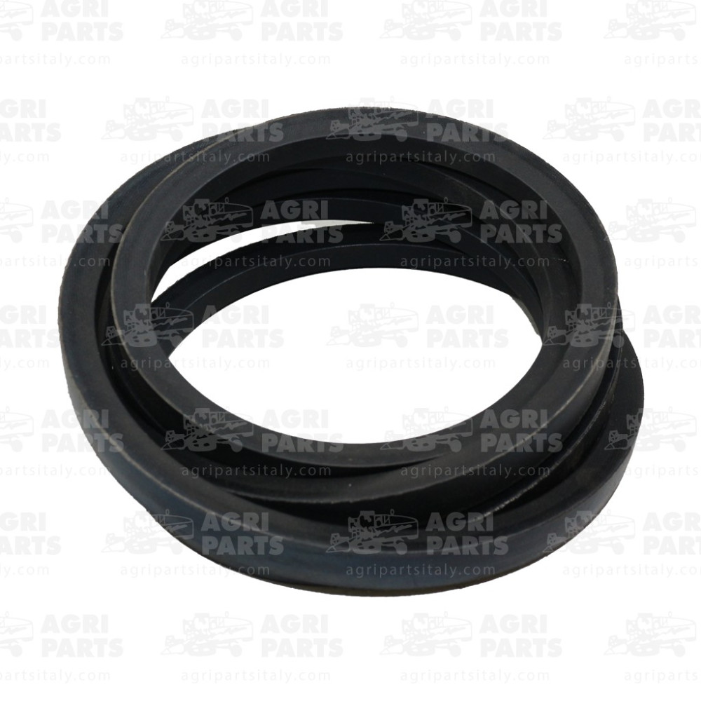 18AP006972 - RIEMEN - 18AP006972