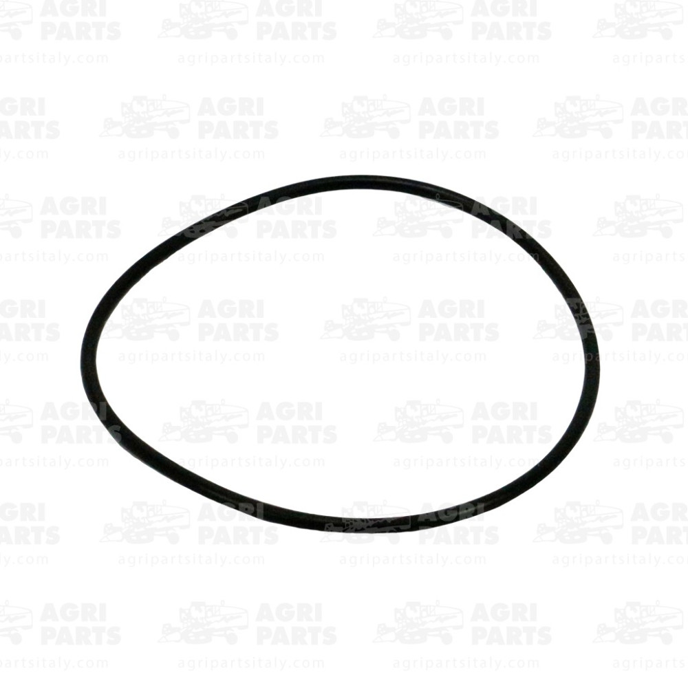 455025 - DICHTUNG - 455025CNH