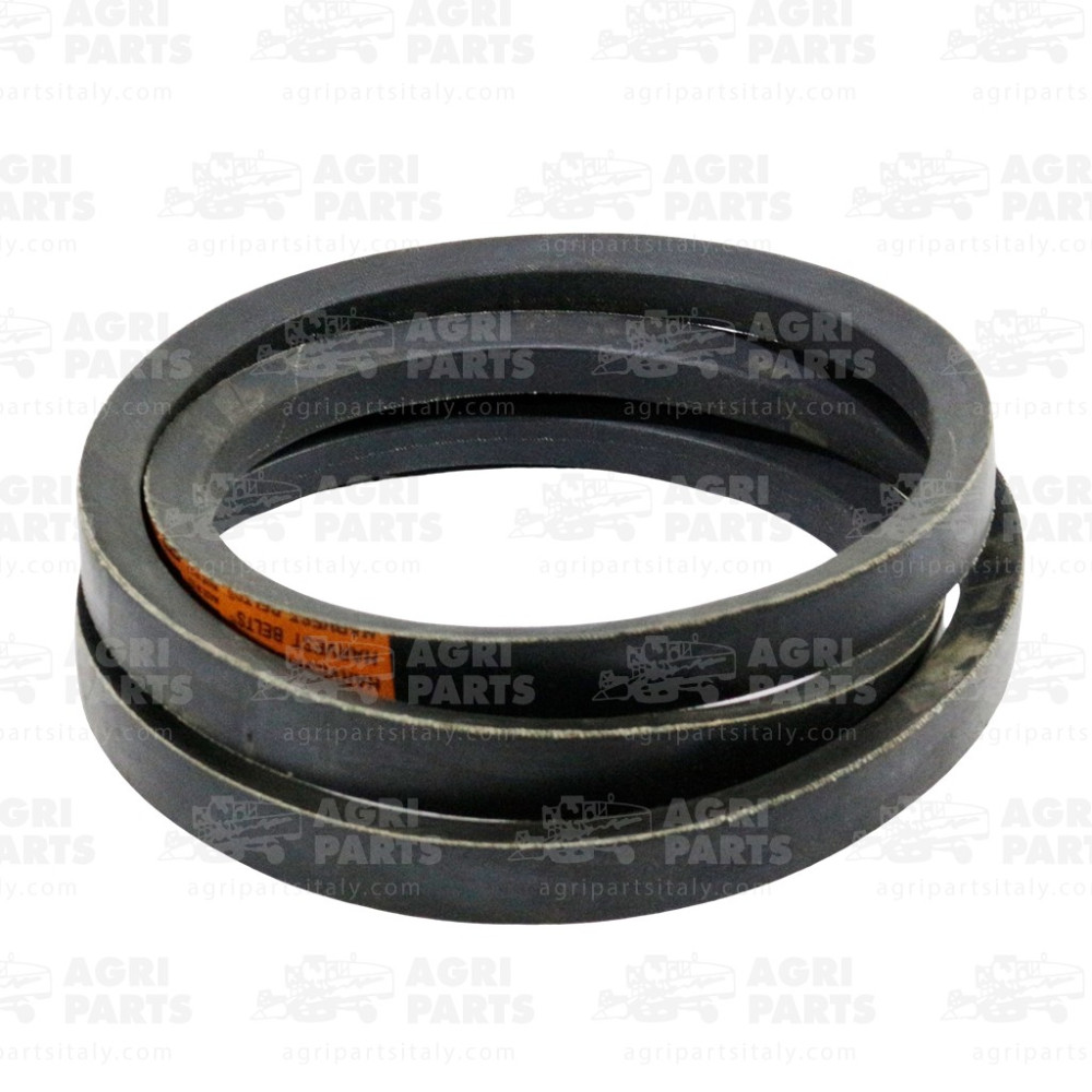 80230056 - CINGHIA - 80230056CNH