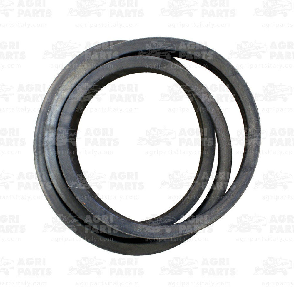 80356025 - RIEMEN - VARI - 80356025CNH