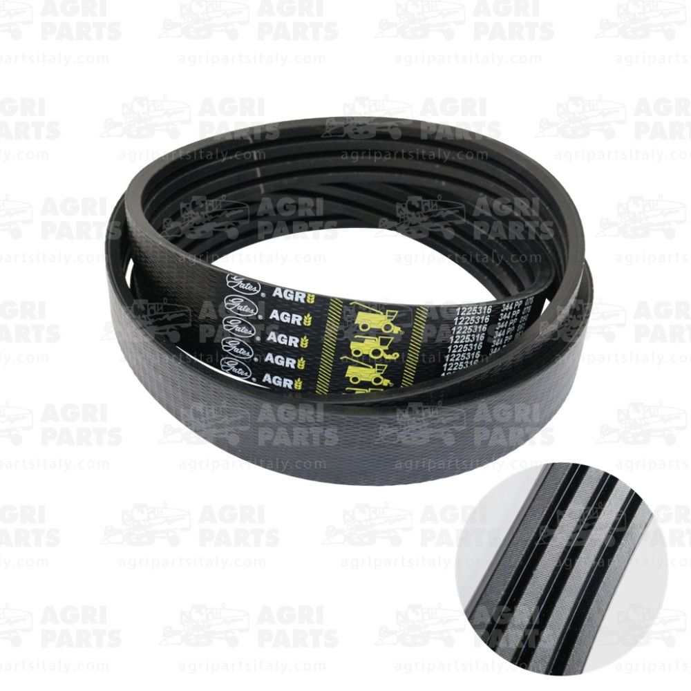 825117 - CINGHIA - 825117CNH