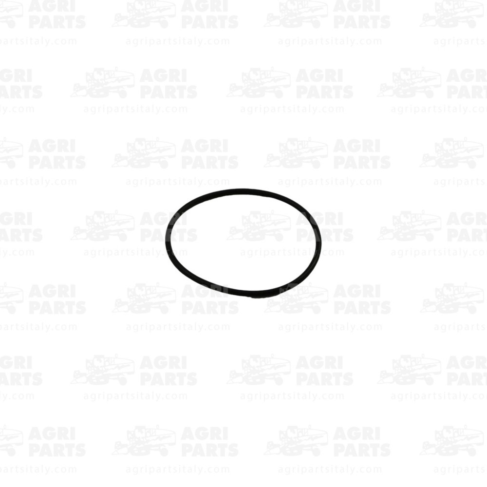 381895 - JOINT - 381895CNH