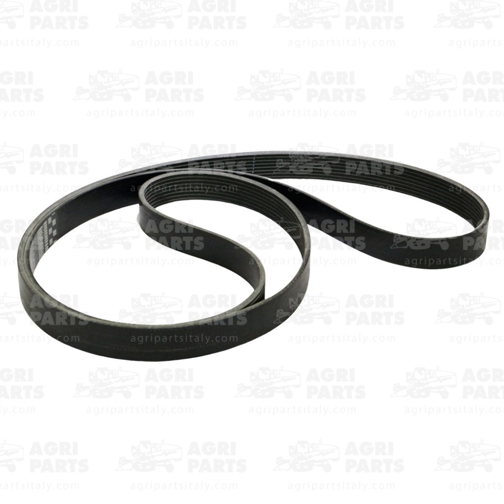 7969980 - RIEMEN - 0007969980CL