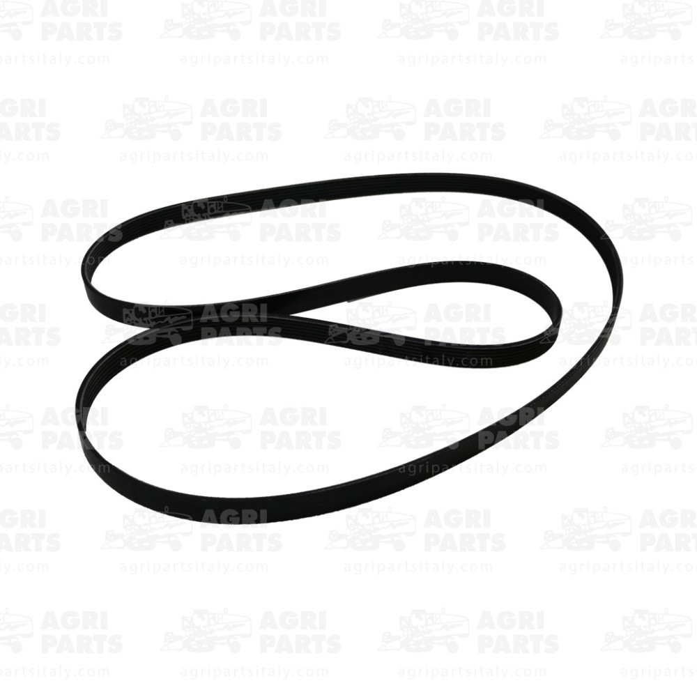 87316556 - CINGHIA MULTIGOLE - 87316556CNH