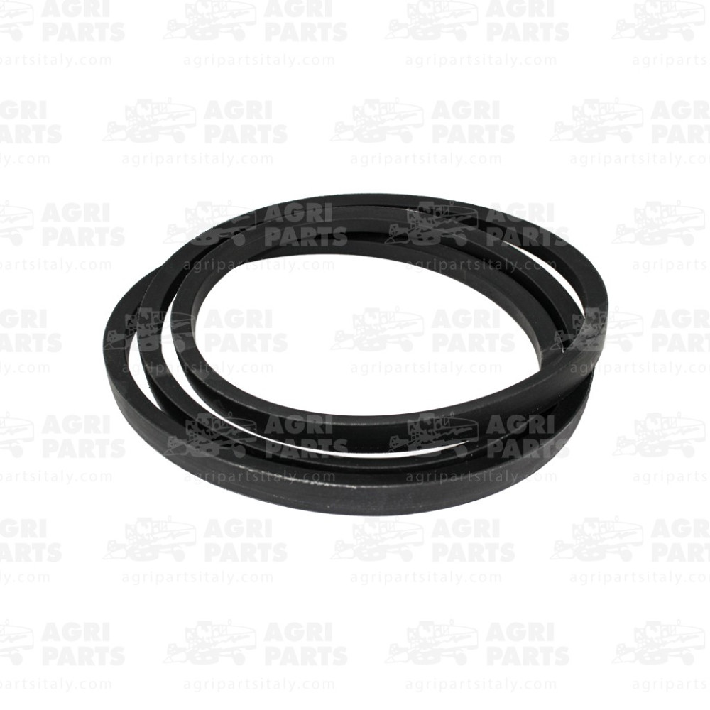 9819676 - RIEMEN - 89819676CNH