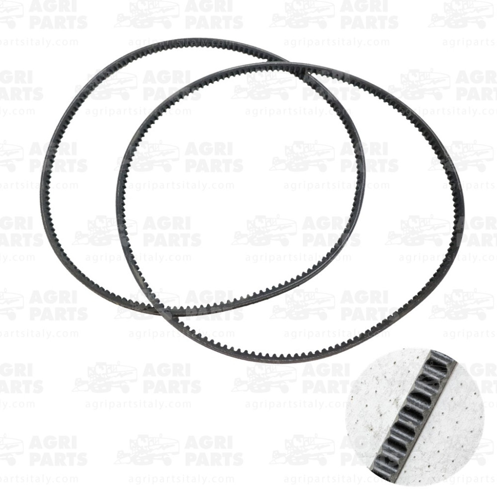 98419479 - COPPIA CINGHIE - 98419479CNH