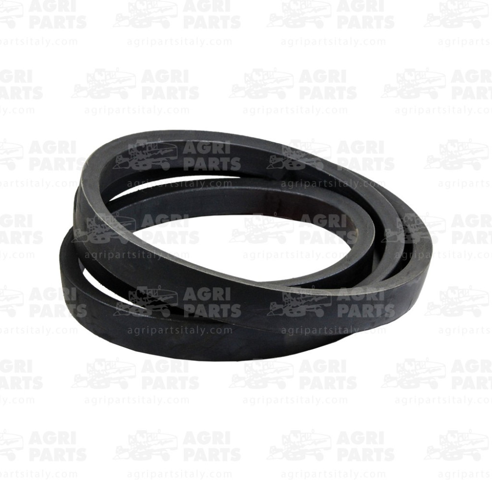 P40058 - RIEMEN - P40058JD