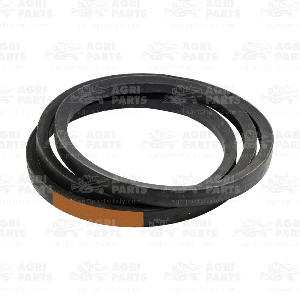 1483881M1 - CINGHIA - 1483881M1AG