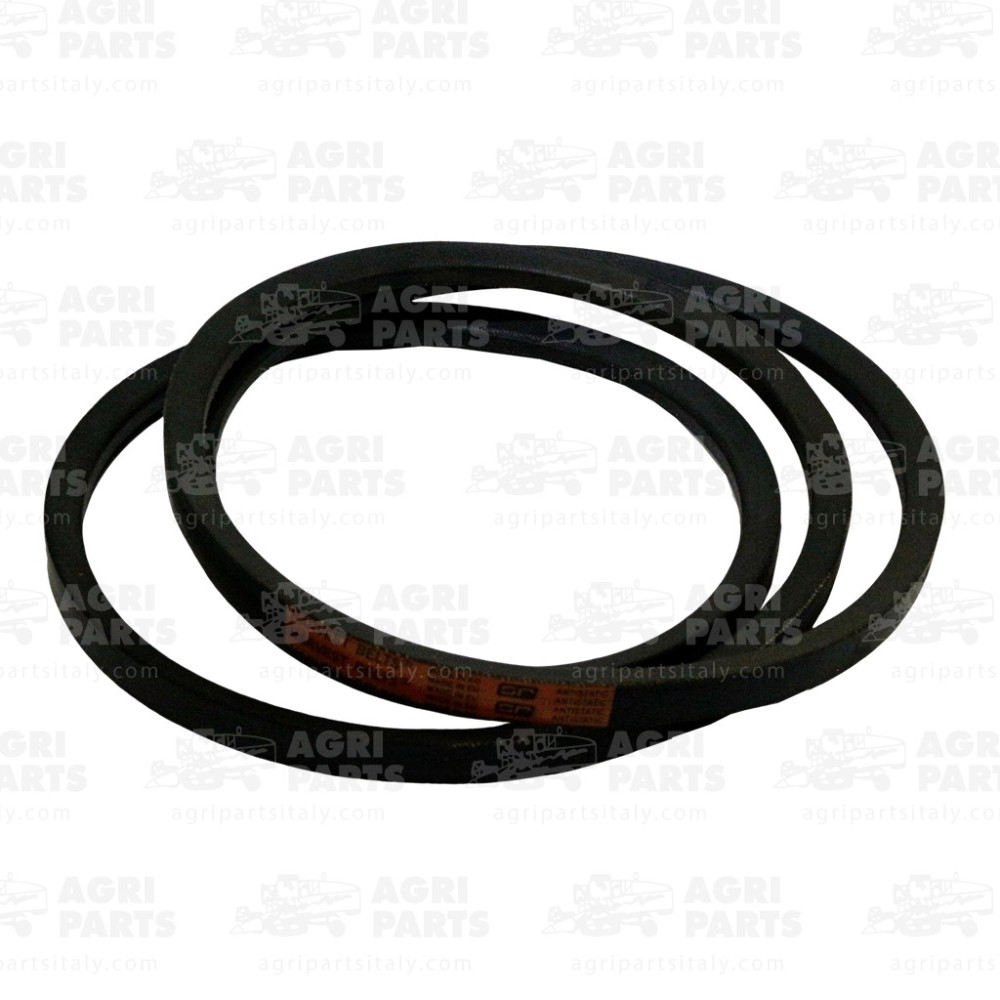 9818705 - CINGHIA - 89818705CNH