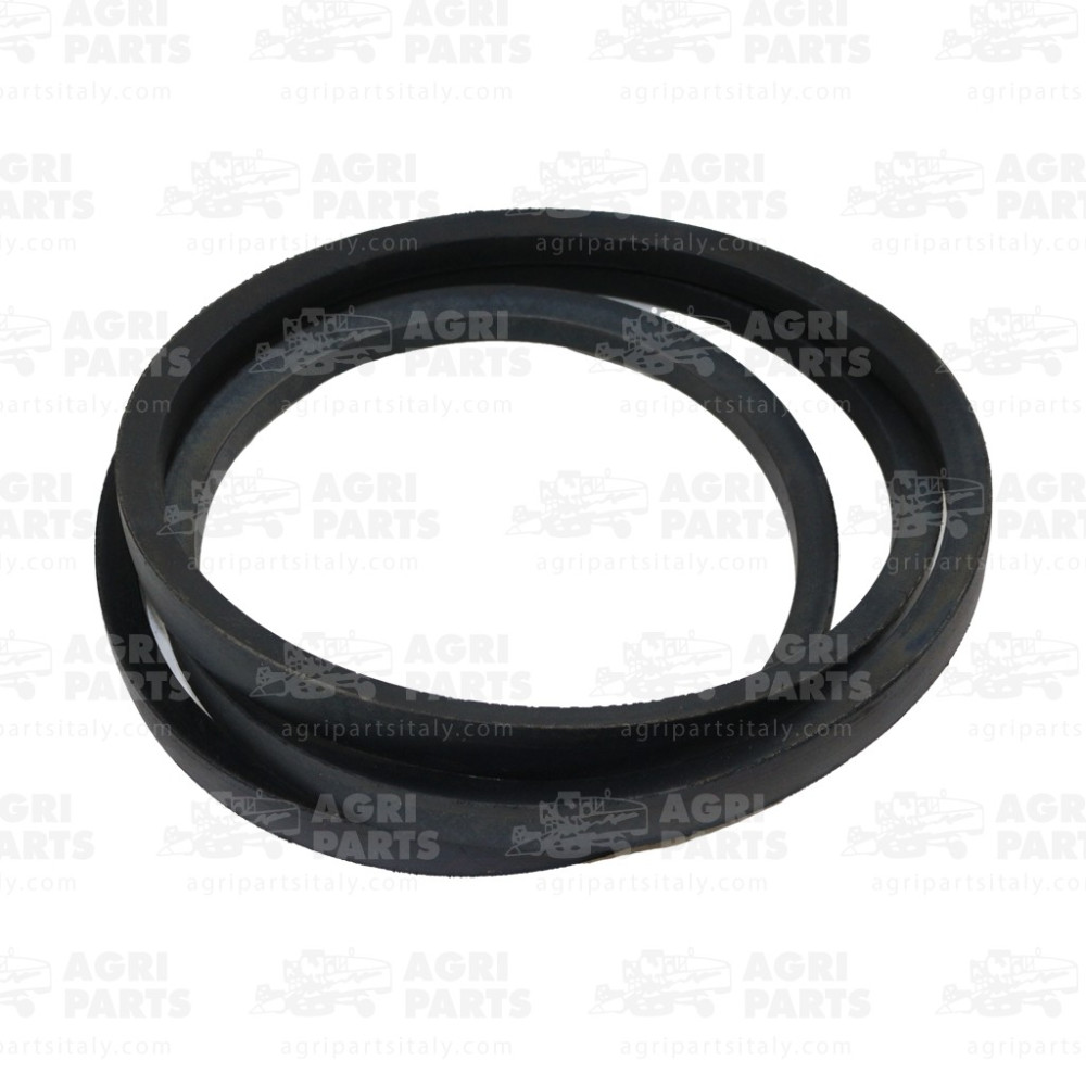 9579546 - CINGHIA - 9579546CNH