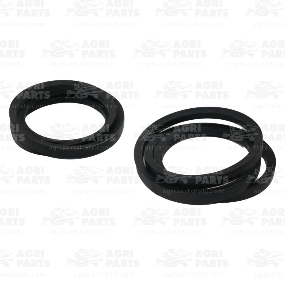 AH139436 - RIEMEN (2ER-SET) - AH139436JD