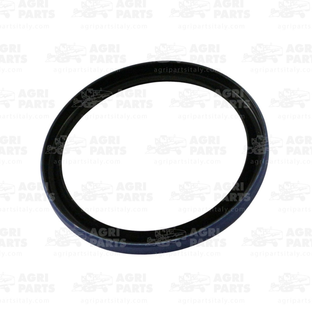 BN302044 - GASKET - BN302044CNH
