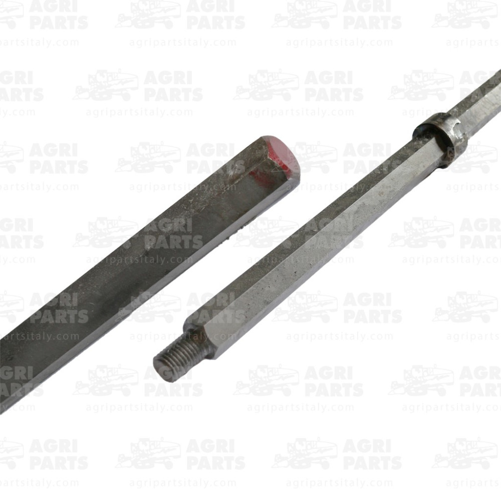 AH228386 - ARBRE - AH228386JD