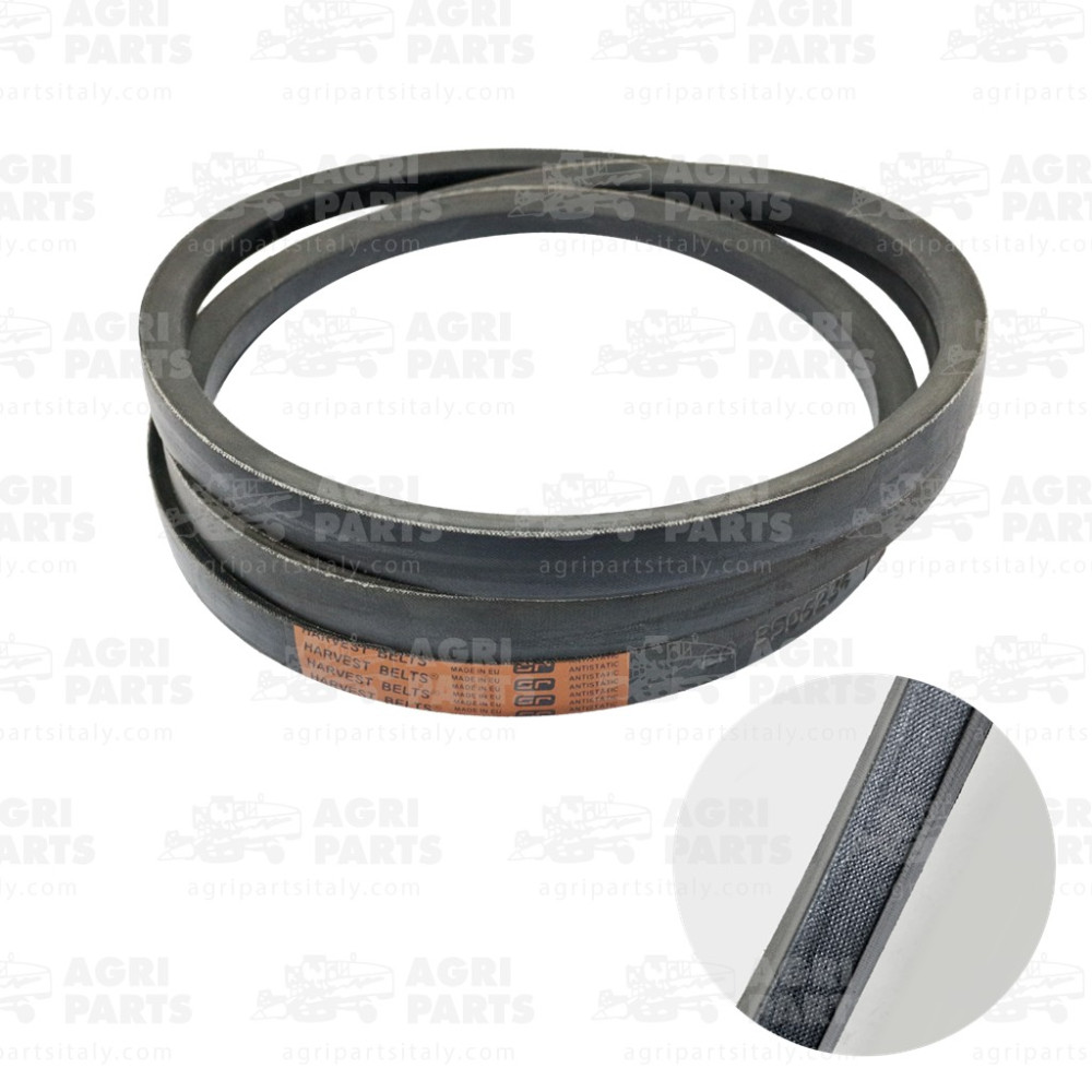 D41985900 - CINGHIA - D41985900AG