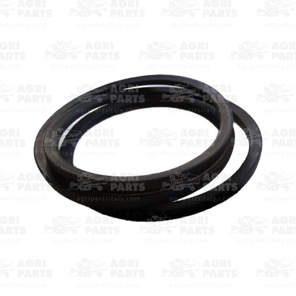 D41996500 - RIEMEN - D41996500AG