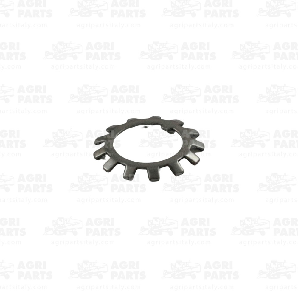 DR12240 - RONDELLA - DR12240OL