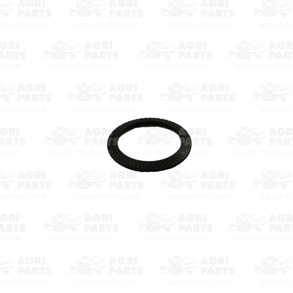 DR8240 - RONDELLA - DR8240OL