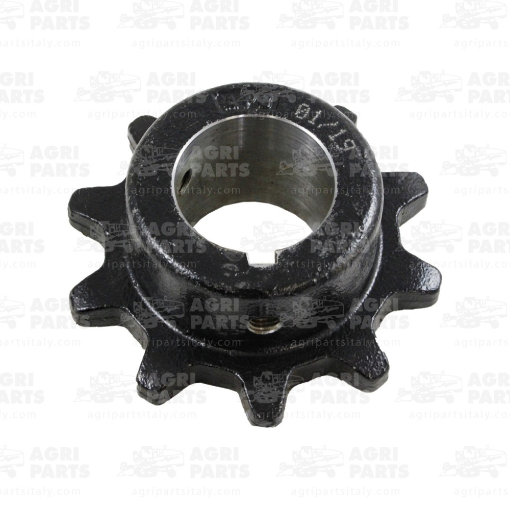 H159613 - PIGNONE - H159613JD