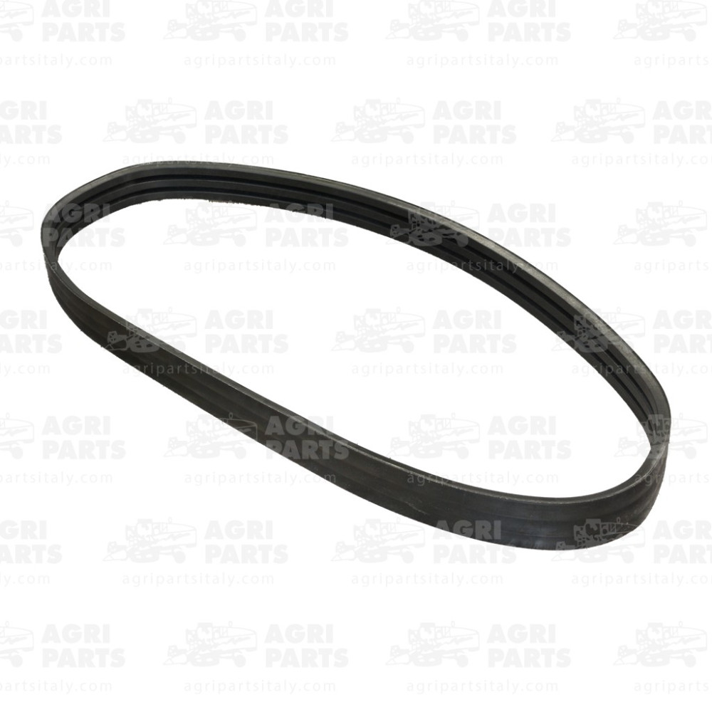 H164368 - CINGHIA PIATTA - H164368JD