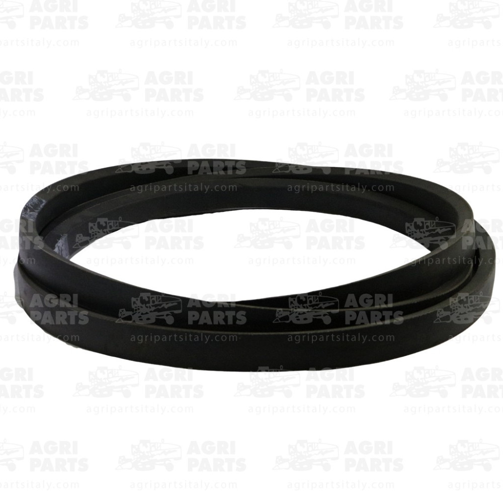 H203474 - RIEMEN - H203474JD