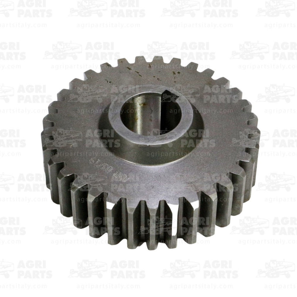 DR12140 - PIGNON - DR12140OL