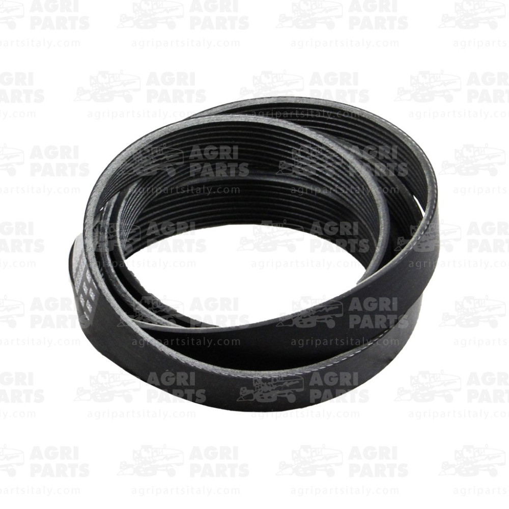 18AP010173 - CINGHIA - 18AP010173