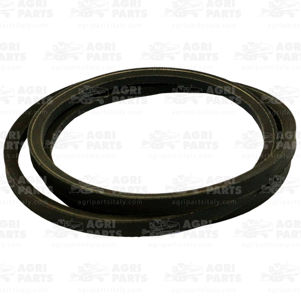 9833619 - CINGHIA - 89833619CNH