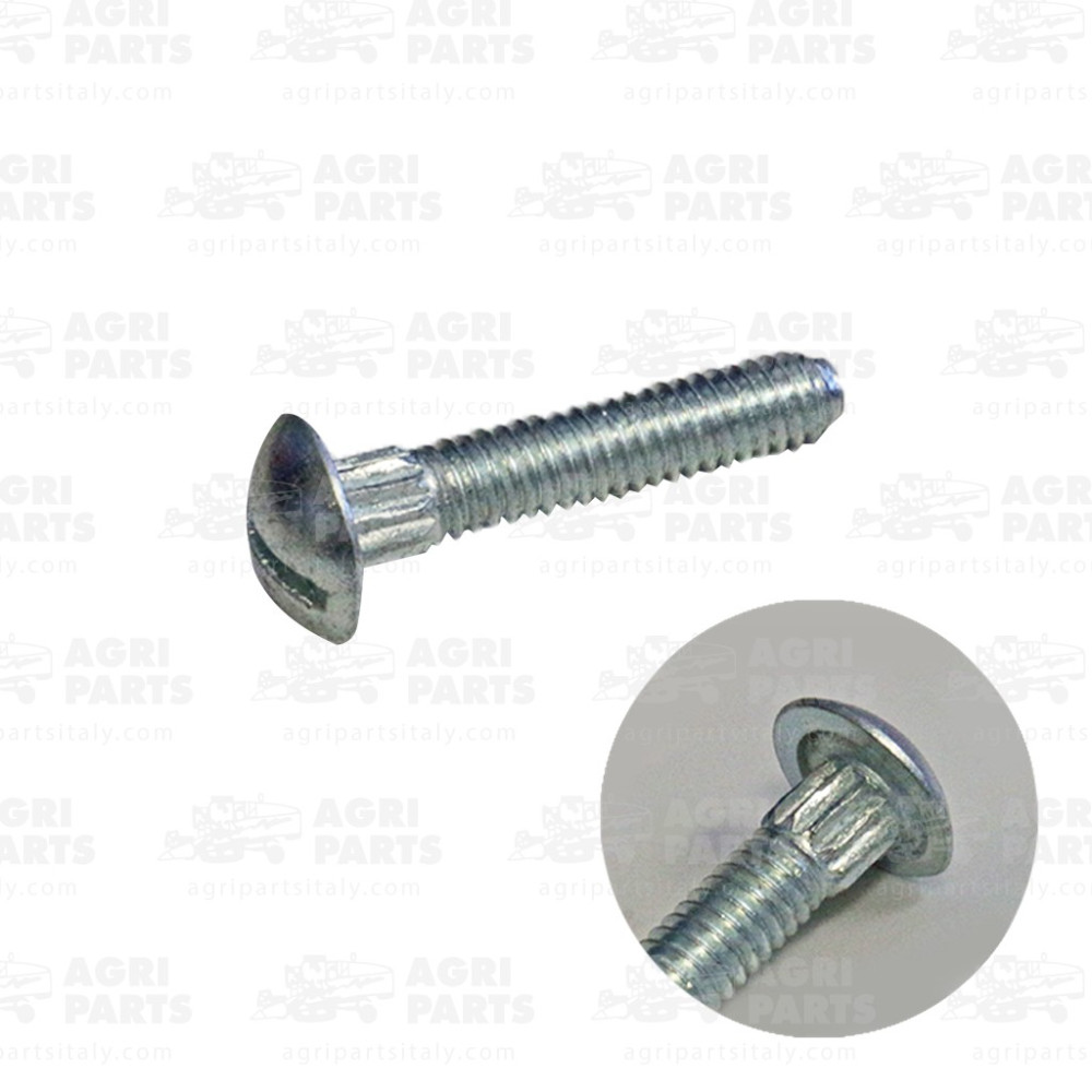 1979166C1 - GESCHLITZTE SCHRAUBE - 1979166C1CNH