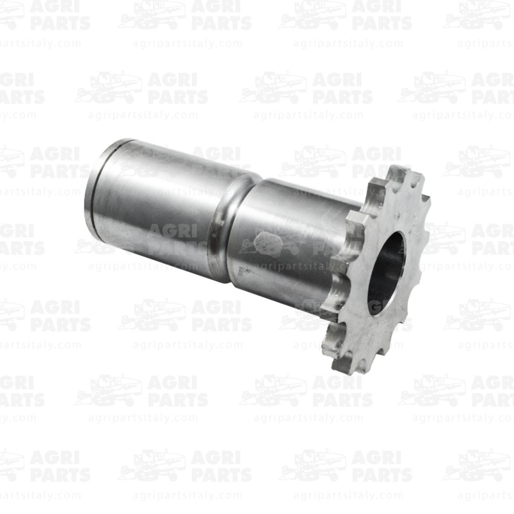 AN102382 - PIGNONE PER CATENA - AN102382JD