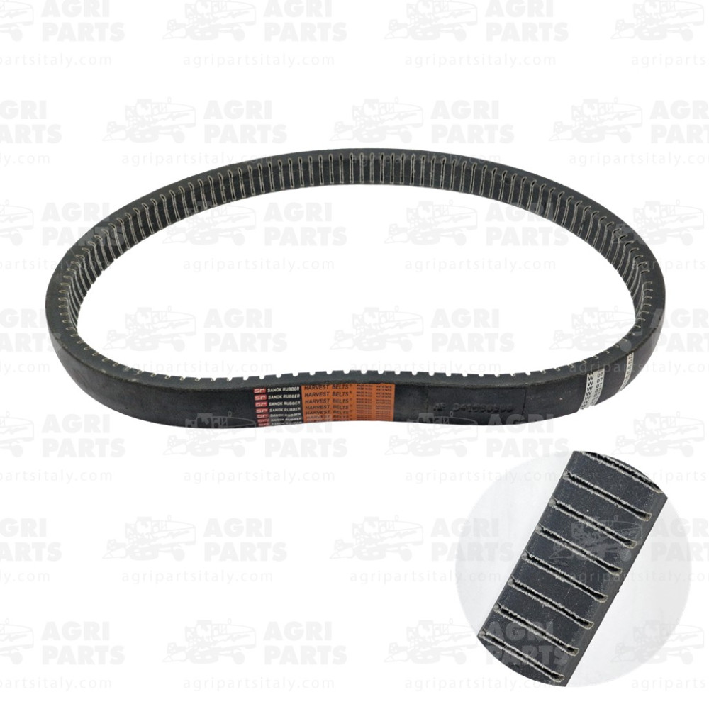 7025360 - CINGHIA - 0007025360CL