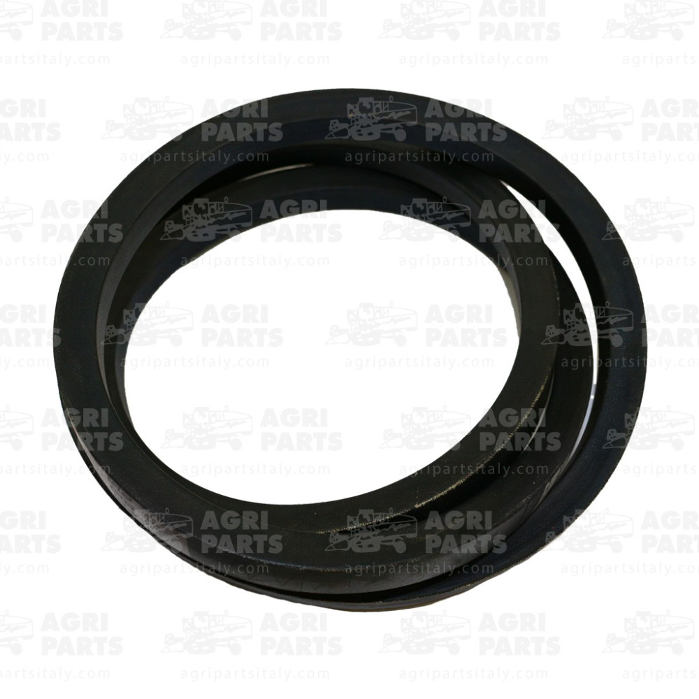 H154731 - KEILRIEMEN - H154731JD